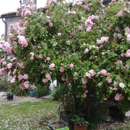 La Rosaliere Bed & Breakfast Chabournay Luaran gambar