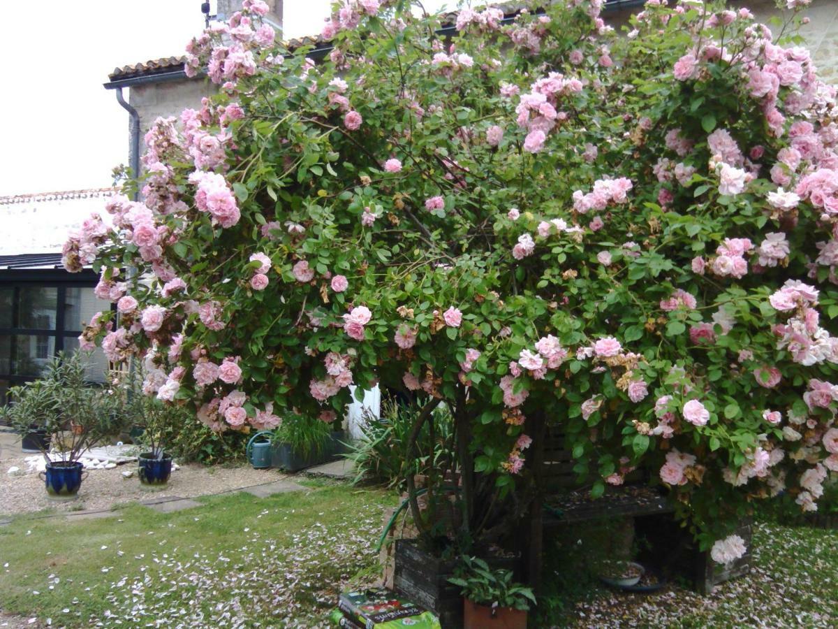 La Rosaliere Bed & Breakfast Chabournay Luaran gambar